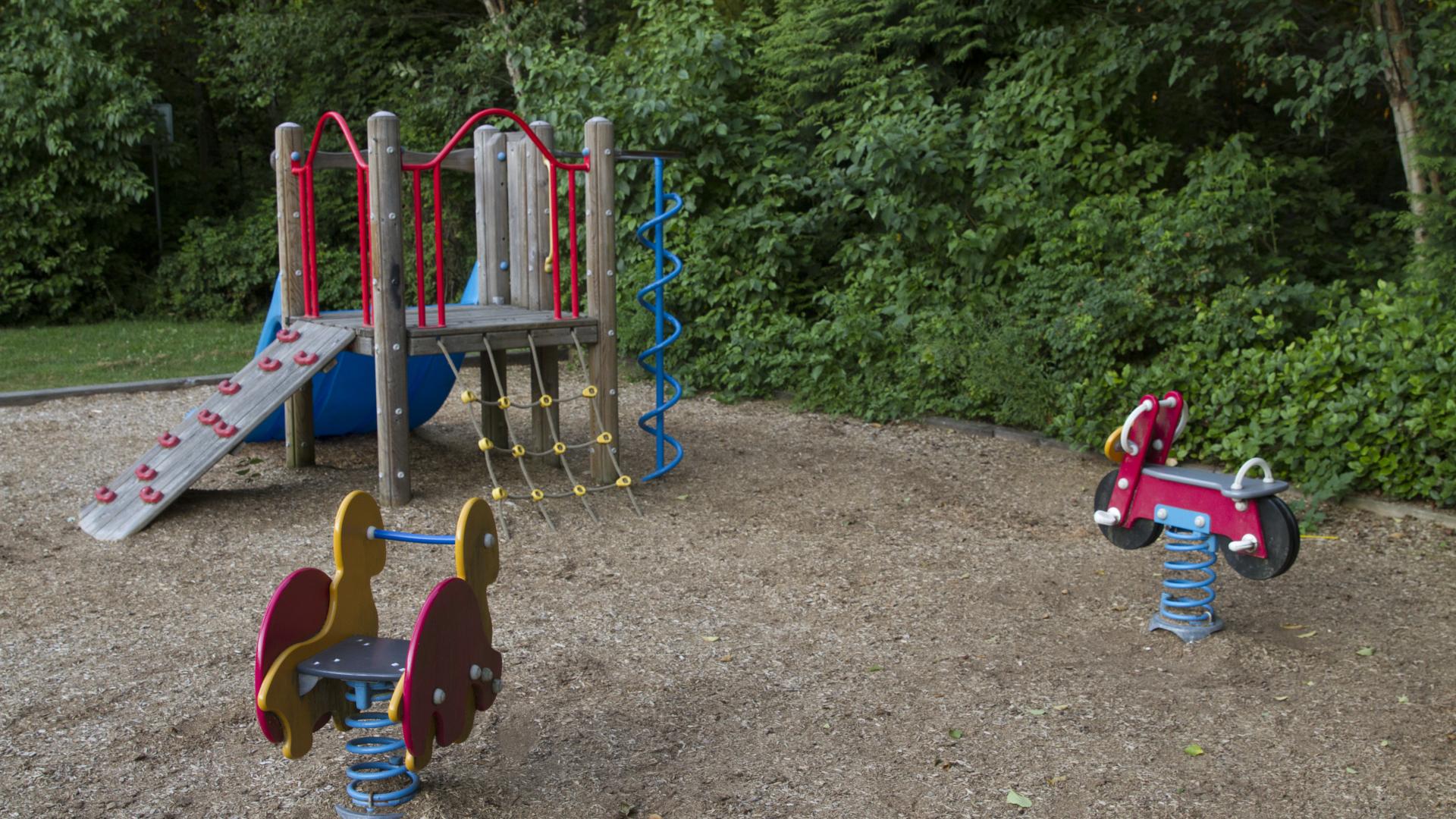 A playground next to a forested area. There is a small structure for climbing and two spring rockers.